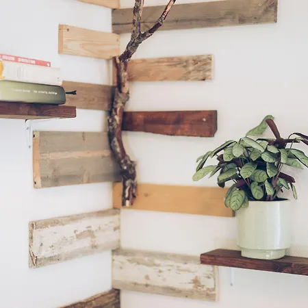 Furu & Cafe Hostel Bostad