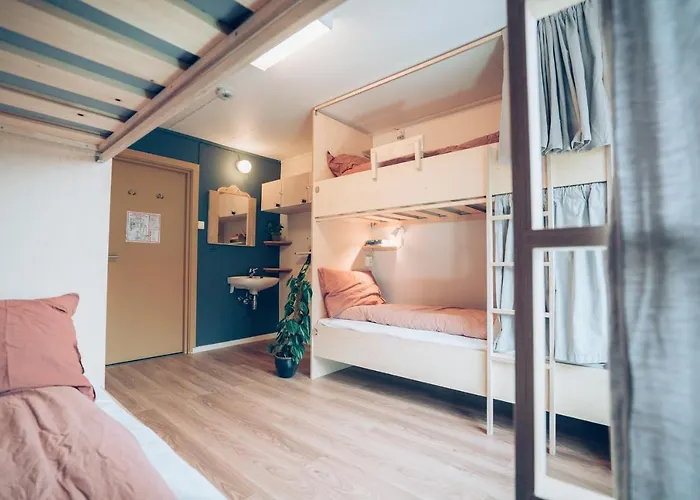 Hostel Furu & Cafe