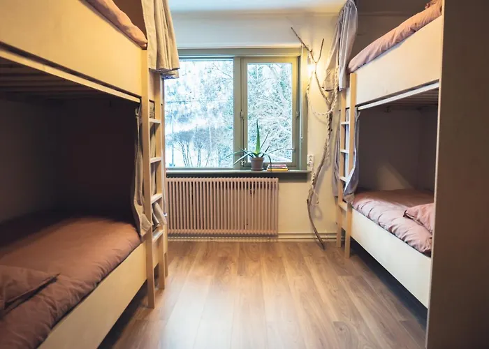 Furu & Cafe Hostel Bostad