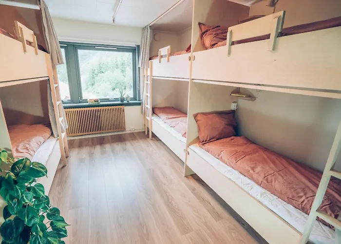 Hostel Furu & Cafe