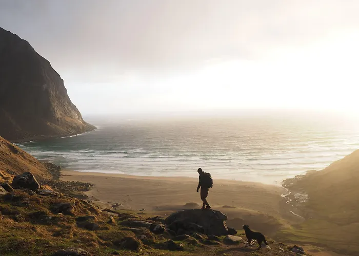 Furu Hostel&café Bostad