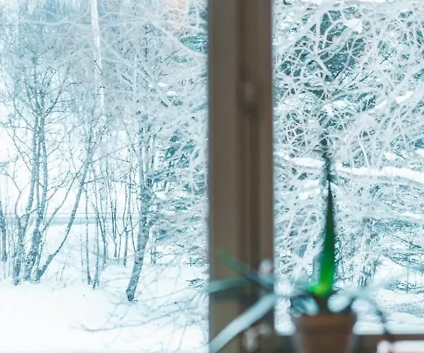 Furu & Cafe 旅馆 Bostad