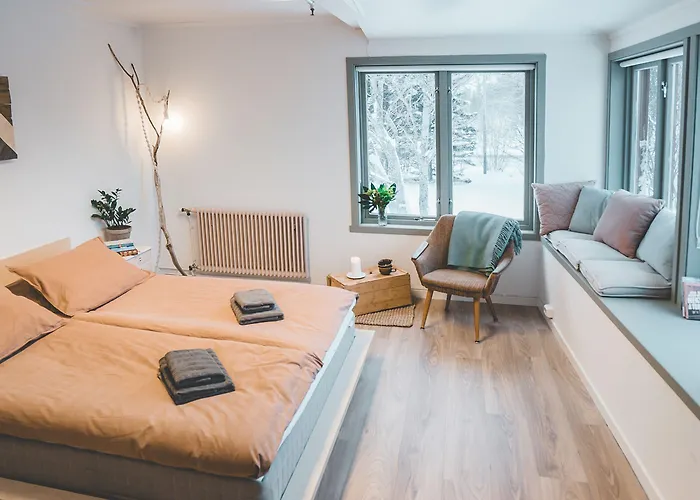 호스텔 Furu & Cafe